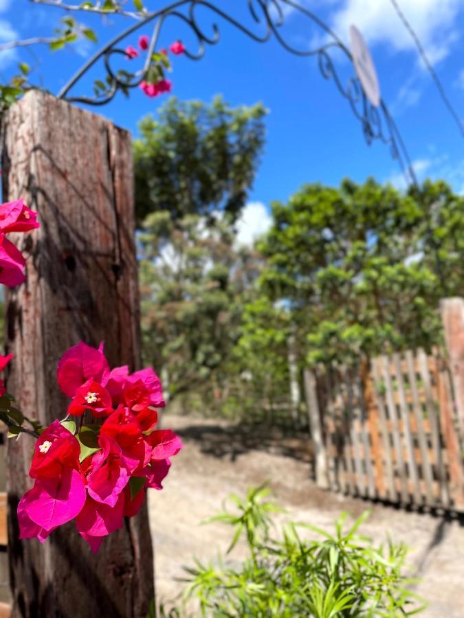 Casa Mirante Do Capao Villa ปัลเมราส ภายนอก รูปภาพ